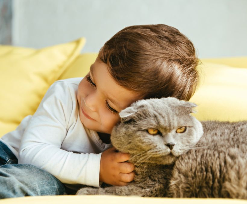 Você sabe quando um gato gosta de você?