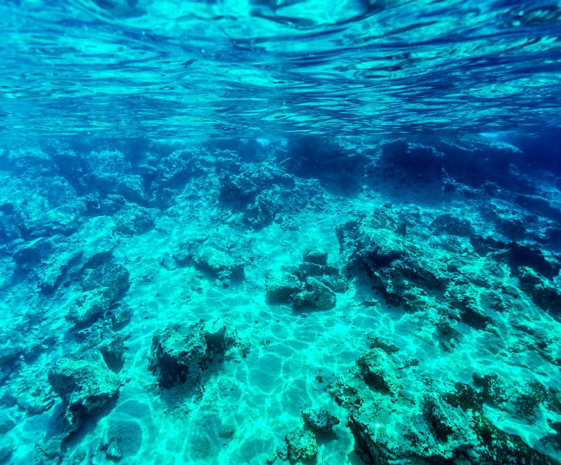 Quem conhece o fundo do mar, com certeza vai entender essa!